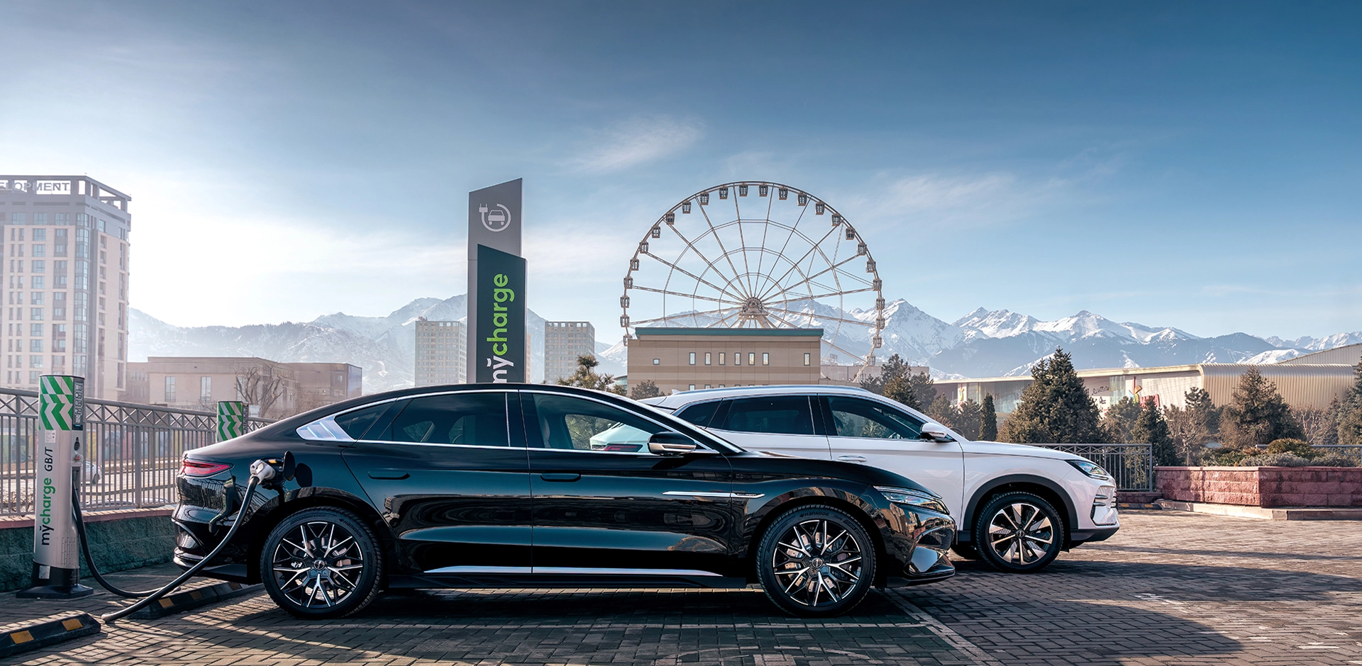 Партнёрство с BYD